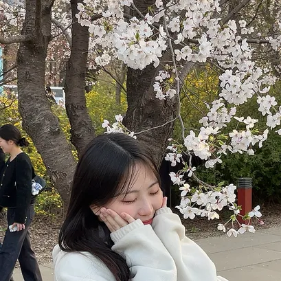 박다희